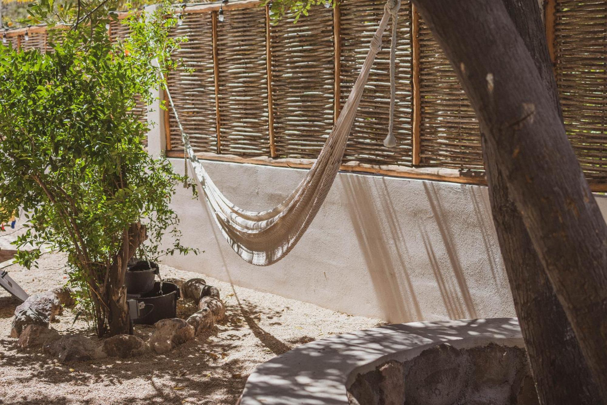 Bed and Breakfast The Mantarraya Outpost La Paz Zewnętrze zdjęcie